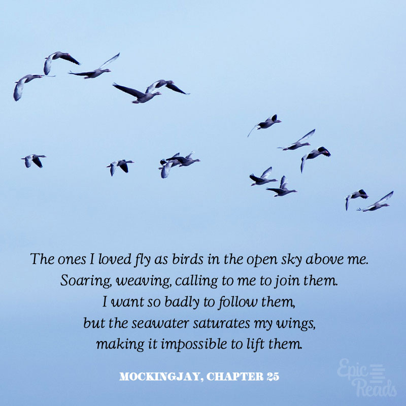 Mockingjay quote | Incredibly Sad Quotes That Will Give You Feelings