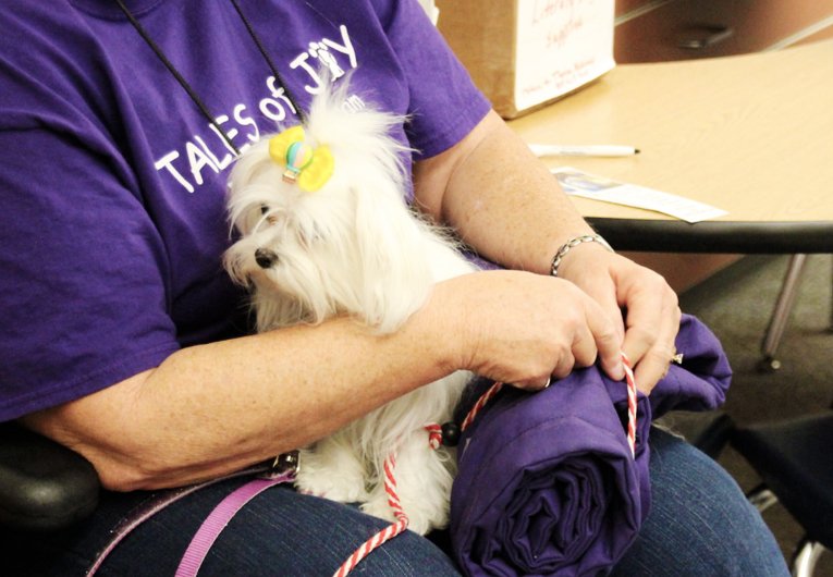 Where to Donate Books: Dog Therapy